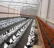 Rain shelter